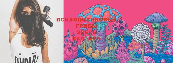винт Алзамай