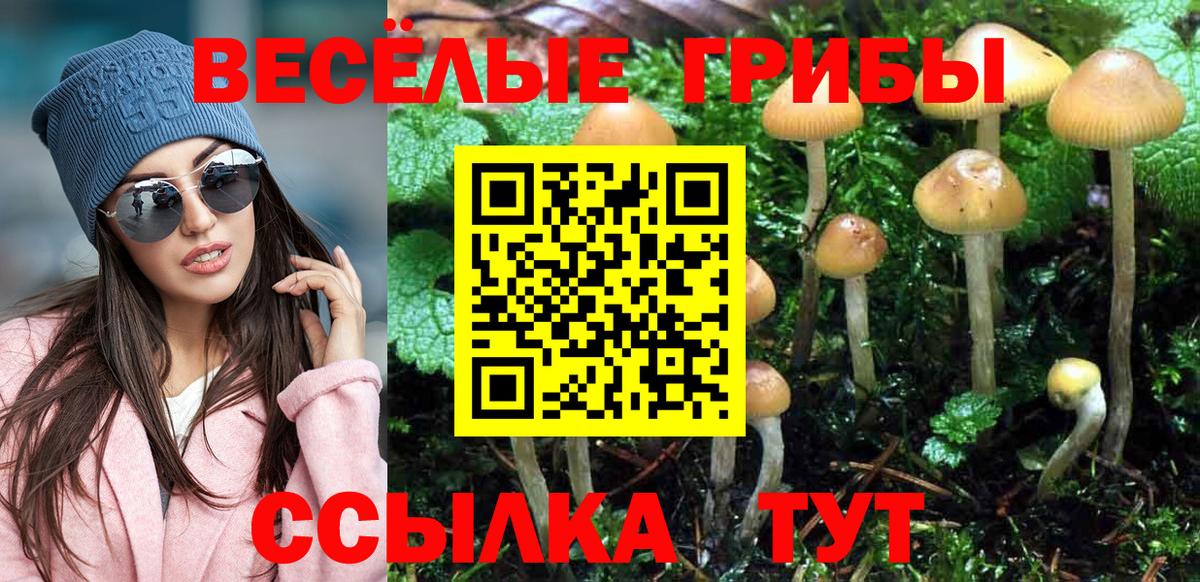 Белебей  Галлюциногенные грибы Cubensis  Псилоцибиновые грибы мицелий  Вход с VPN 